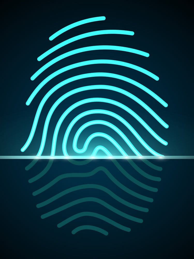 A biometria e o uso de dedos de silicone -  Piracaia Mais 